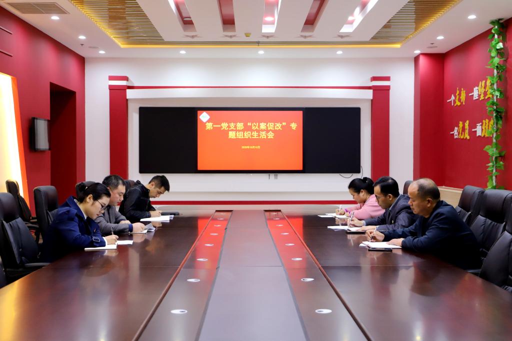 高职学院“以案促改”专题组织生活会(一)