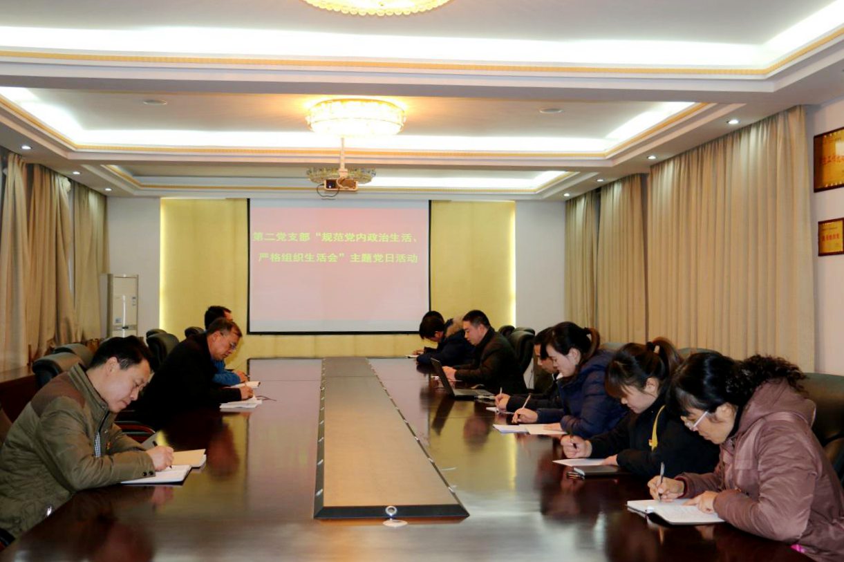 部分支部活动现场(六)